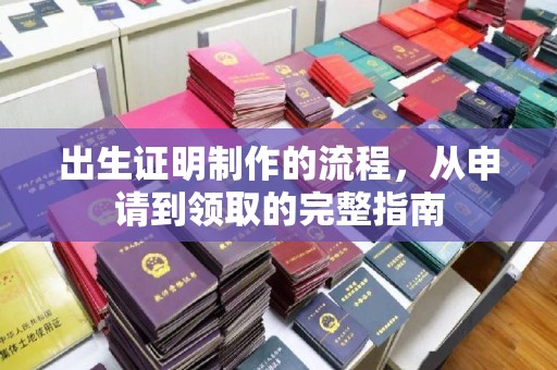 壤塘出生证明制作的流程，从申请到领取的完整指南